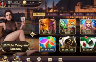 Royal X Casino Interface